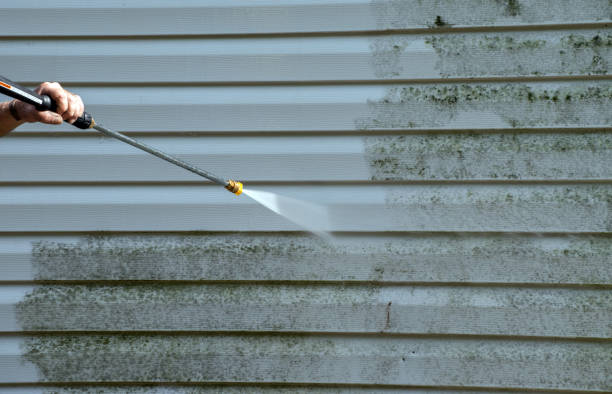Best Residential House Exterior Washing  in George, IA